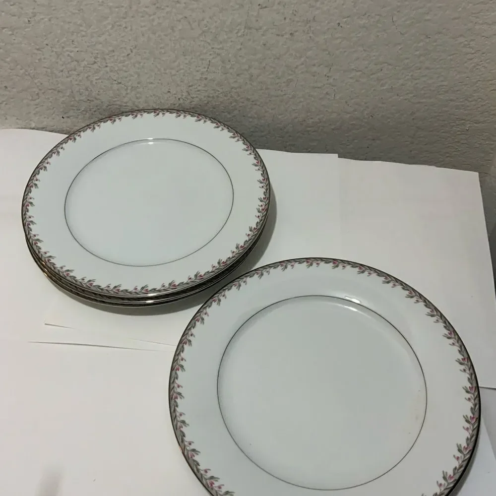 Vintage Noritake Petite #5507 Dinner Plates (4) 10-1/4